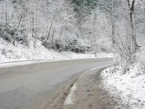 Пора вдягати пухнастих котів. Метеорологиня сповістила про холод і слизькоту в Україні.