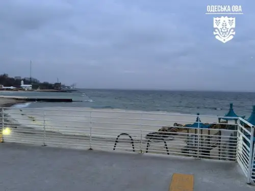 Внаслідок російської агресії соняшникова олія вилилась у Чорне море. Птахи потребують порятунку.