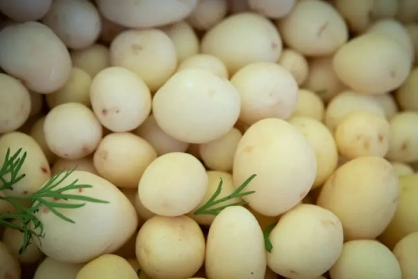 Картопля та втрата ваги: думка фахівців