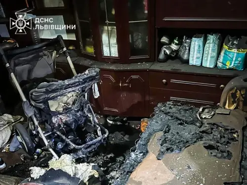 Залишила без нагляду: На Львівщині арештовано матір через смерть дітей під час пожежі.