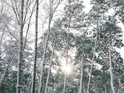 Лютий холод: В Україні очікується до -22 градусів.