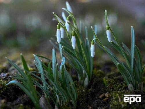 Понеділок у березні: без дощу, з морозом. Прогноз погоди в Україні