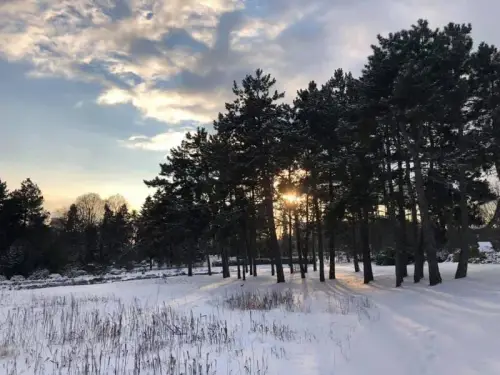Сьогодні в Україні синоптики очікують від 1 градуса тепла та снігопаду до 15 градусів тепла.