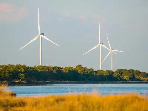 ДТЕК отримав дотацію від норвезької Norad на розробку проєкту найбільшої вітрової електростанції в Україні