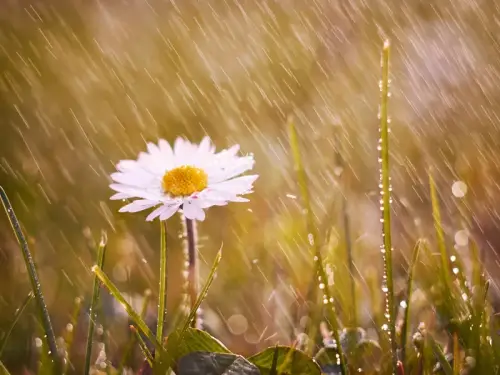 Сонце, вітер, мряка. Наступного тижня очікуються перепади погоди.