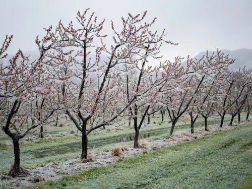 Пориви вітру та мороз. Служба надзвичайних ситуацій повідомляє про загрозу негоди в Україні.