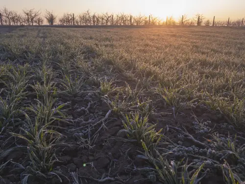 Прогноз синоптикині: якою буде українська погода після Пасхи