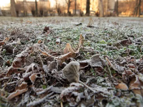 В Україну насувається холод, очікуються приморозки