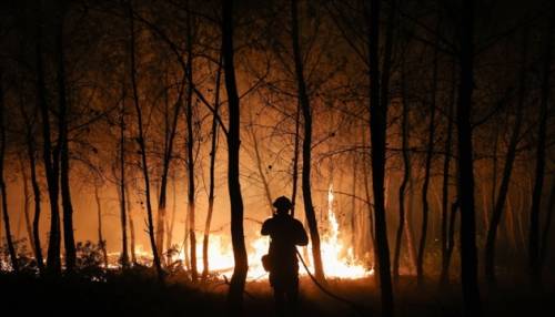 Франція: 20 тисяч осіб евакуйовано через лісові займання