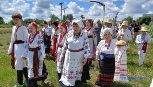«Зажинки»: перші зібрані з поля колоски залишили для різдвяного дідуха