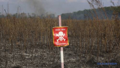 Україна відновила для сільськогосподарських потреб 16,4 тисячі гектарів родючих земель, що були забруднені вибухонебезпечними предметами, у межах державної програми.