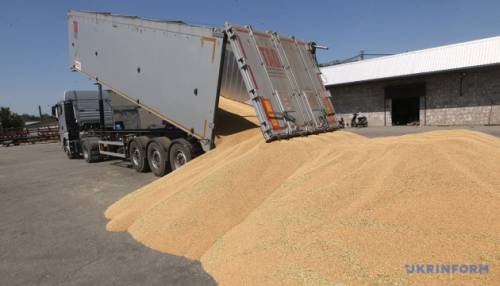 У першому півріччі підприємства збільшили випуск агропродукції на 7% – Держстат