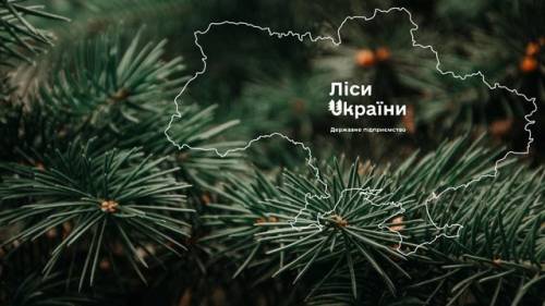 “Телент Едвайзорс” виборола право проводити пошук генерального директора ДП “Ліси України”