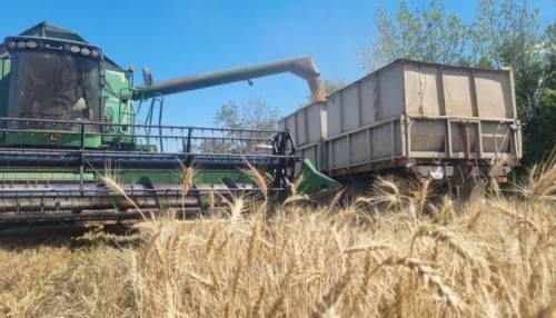 Землероби Донеччини зібрали ранні зернові з 60% запланованих територій