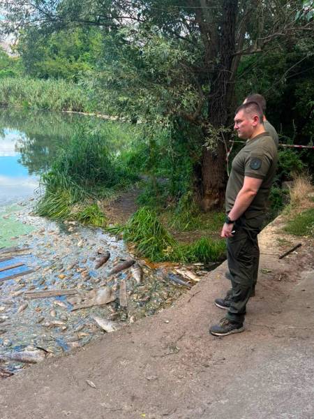 Забруднення водойм Борщівської громади завдало довкіллю збитків на 36,5 млн грн