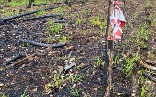 Двоє загиблих: небезпечні знахідки на Сумщині забрали життя