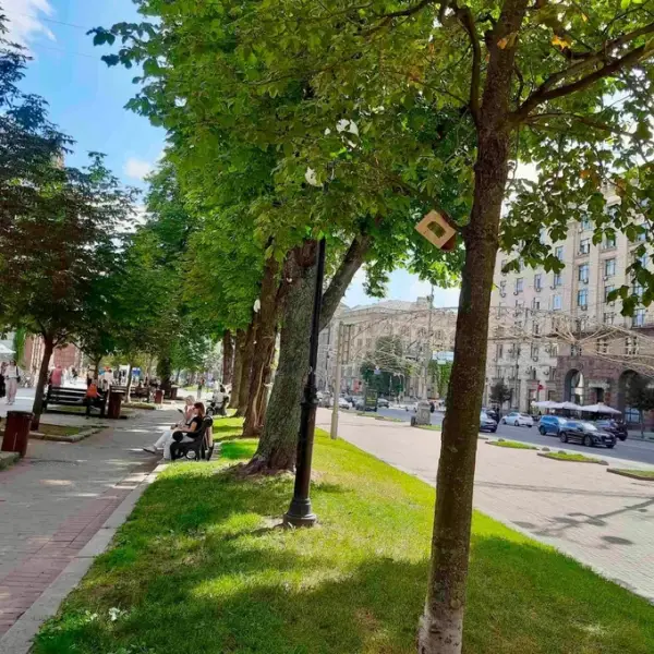 Шевченківський район боротиметься з молю каштанів за допомогою феромонних пасток