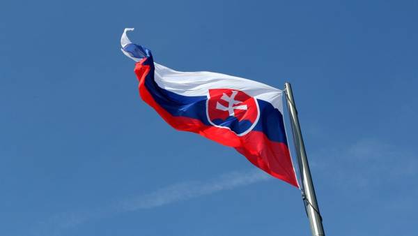 Словацькі спецслужби викрили та запобігли підпалу заводу безпілотників
