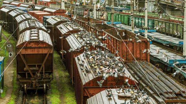 Молдова зменшила вдвічі тариф на транзит українських вантажів залізницею