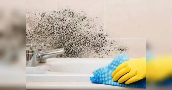 Душ без плісняви: дієві лайфхаки для чистоти