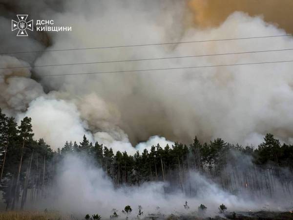 На Київщині палає ліс: залучили авіацію та рятувальників з сусідніх областей