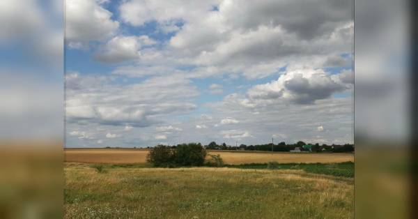 Синоптики попереджають про високу пожежну небезпеку у вихідні