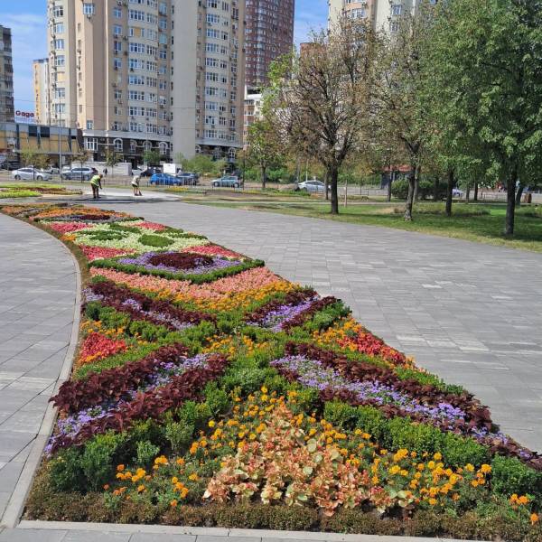На місці вирви від обстрілу у Дарниці розквітла клумба