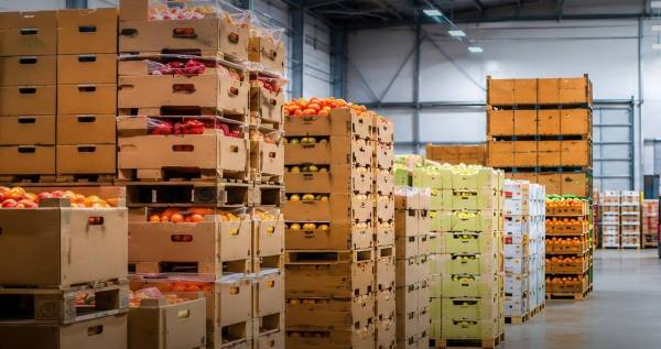Армійське харчування: якість продуктів для ЗСУ перевірятимуть ще на етапі закупівлі