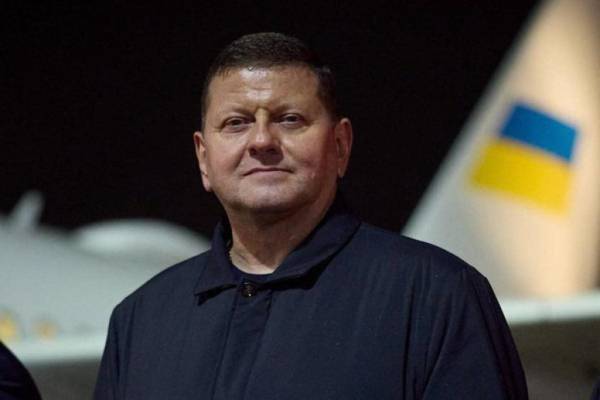 Залужний лідирує у рейтингу довіри: Зеленський на шостій позиції