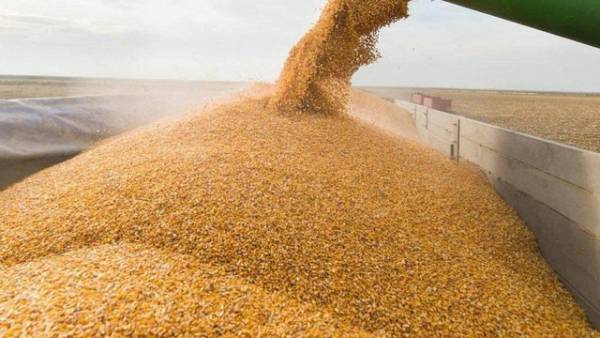 Програму 5-7-9% розширили на аграріїв для поповнення обігових коштів