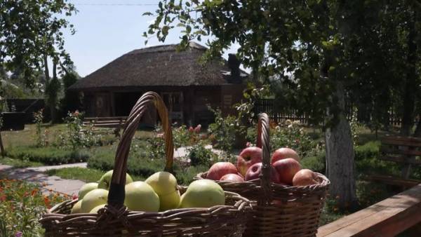 Музей Довженка пригощає відвідувачів своїм урожаєм