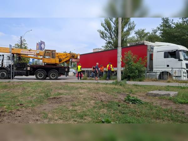 Активісти: На Теремках відновили вирубку дерев попри обіцянку