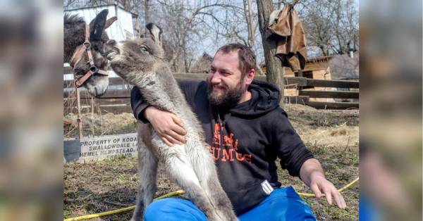 Осляче молоко: 1000 гривень за літр — виробники пояснюють вартість