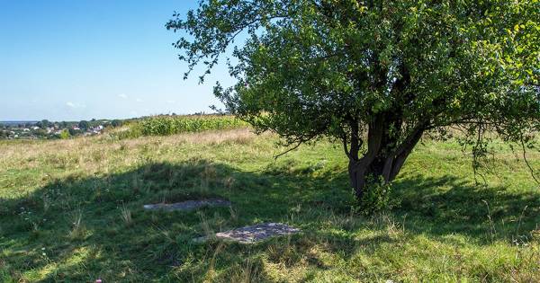 Молебень на Маковія: роздуми Галини Пагутяк