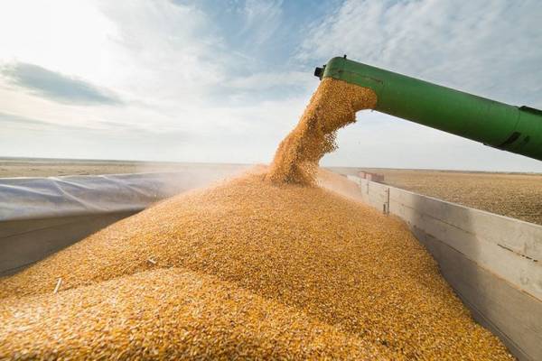 Україна може недорахуватися 10,8 мільярда євро через експортні перешкоди нового врожаю