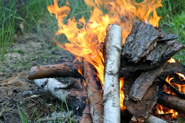 Київ у стані максимальної пожежної небезпеки: за багаття – штраф