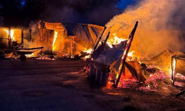Київщина: пожежа в притулку «Сіріус» забрала життя восьми собак