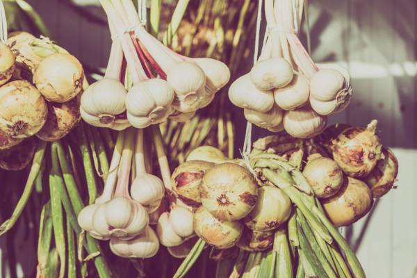 Фермерські продукти: де купити в Києві сьогодні