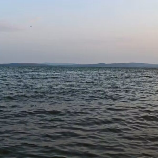Нанорозпилення для водойм: чи захистить тонкий плаваючий шар від випаровування