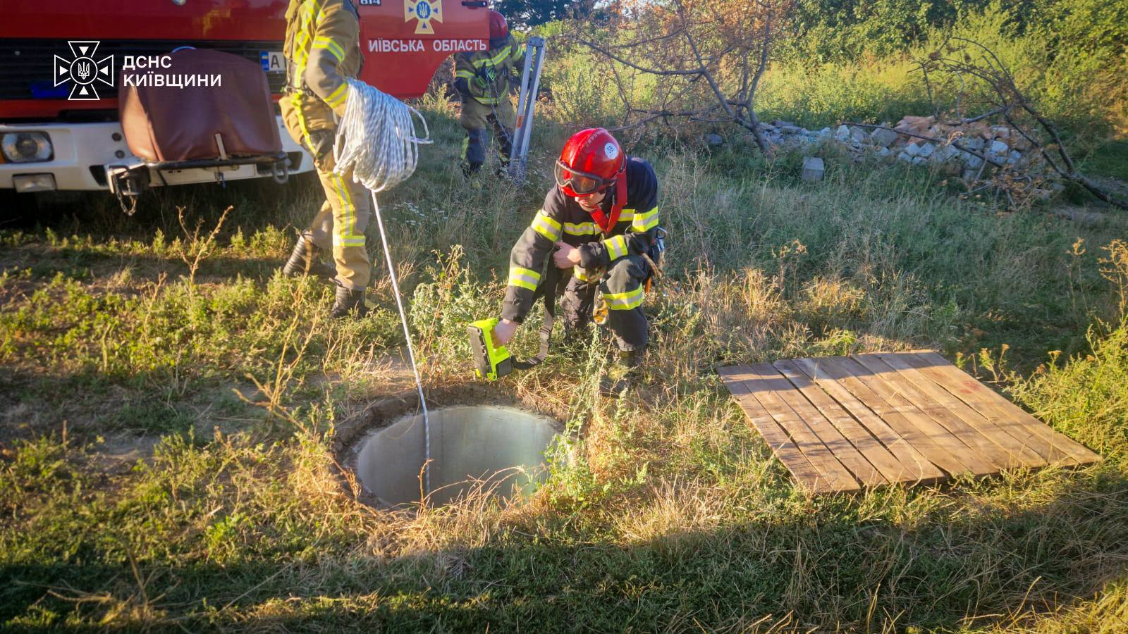 Фото до статті