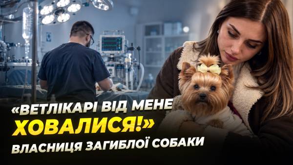 Ветеринарний клінічний скандал: клієнт втратив 40 тисяч гривень та собаку.