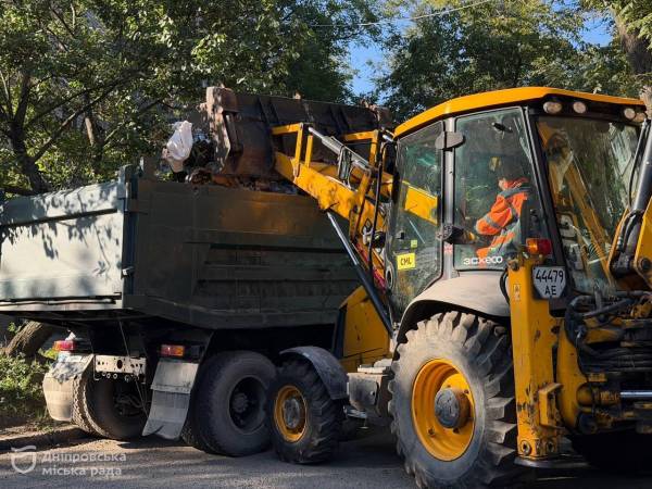 Дніпро: чому гілки та стовбури дерев не можна викидати біля сміттєвих баків