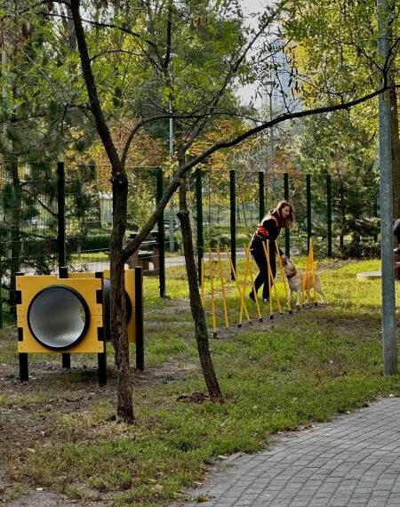 Співробітники і партнери компанії оновили кінологічний майданчик біля озера Тельбін