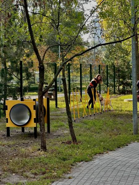 Співробітники і партнери компанії оновили кінологічний майданчик біля озера Тельбін