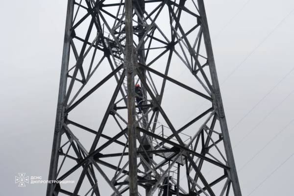 Бойову частину дрона знайшли на Дніпропетровщині на висоті 60 метрів