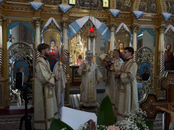 Фото до статті